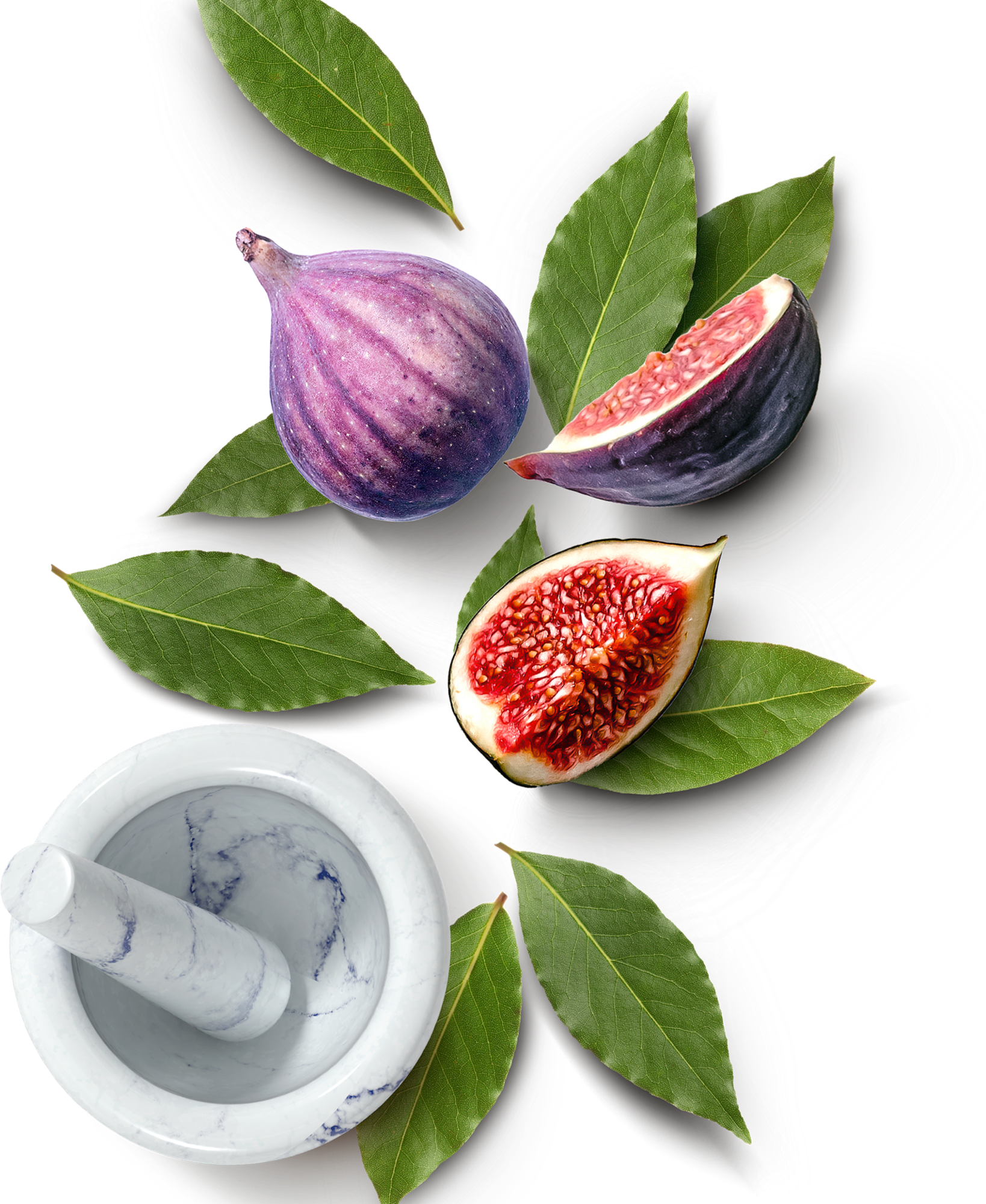 Roma ingredienti