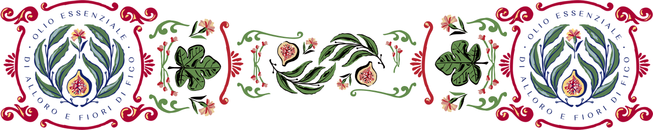 roma pattern