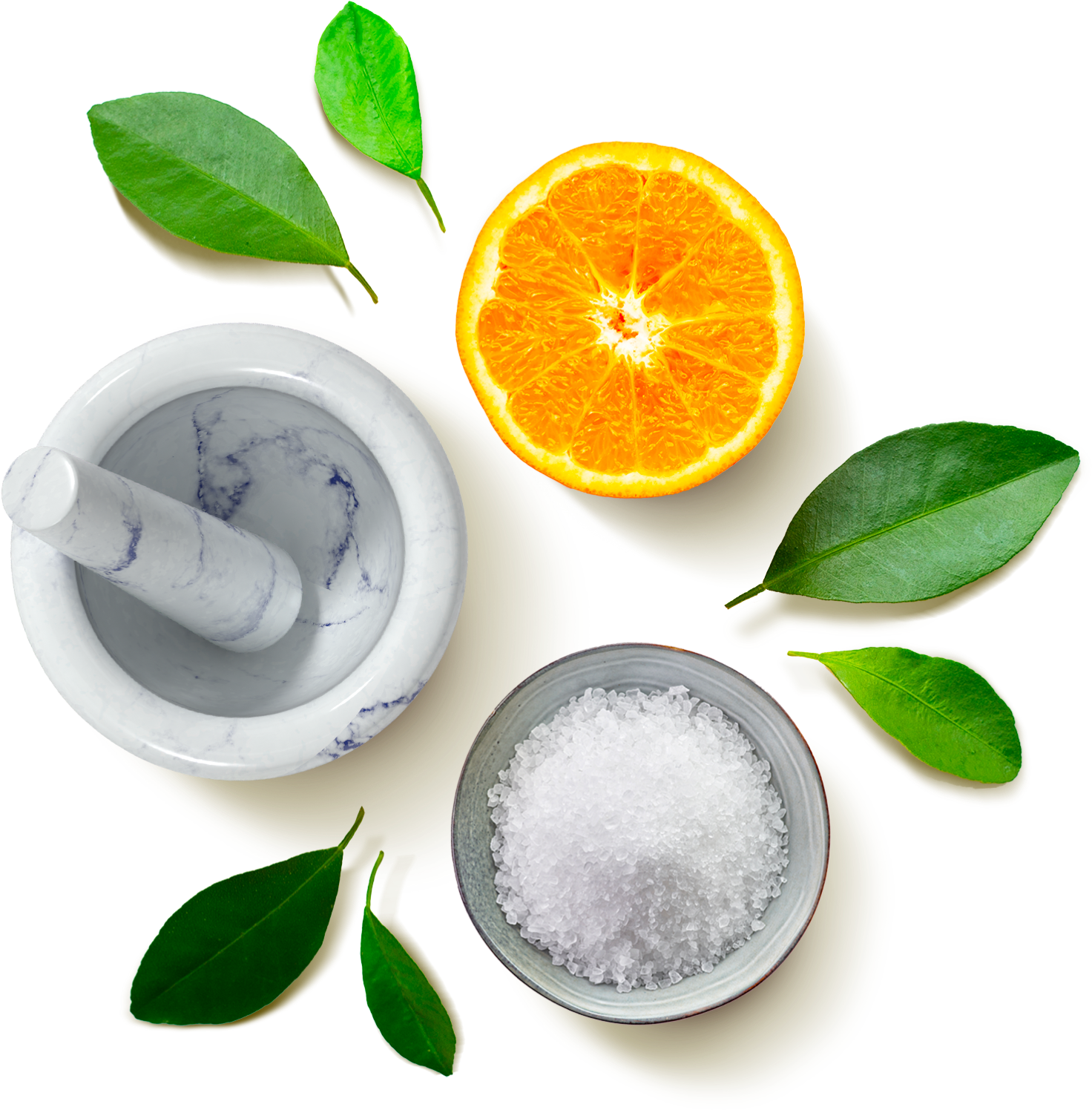 Siracusa ingredienti