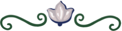 Dolomiti